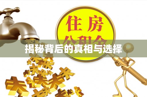 长汀揭秘背后的真相与选择