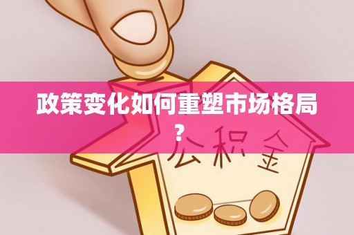 长汀政策变化如何重塑市场格局？
