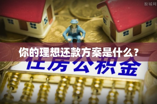 长汀你的理想还款方案是什么？